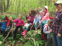 A pilot program between the KEC and the Wallingford Board of Education, Kinderwoods educates Wallingford kindergarteners on nature.